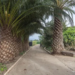 Paredones Farm - Private Pool - Garden Сasa de vacaciones Santa María de Guía de Gran Canaria
