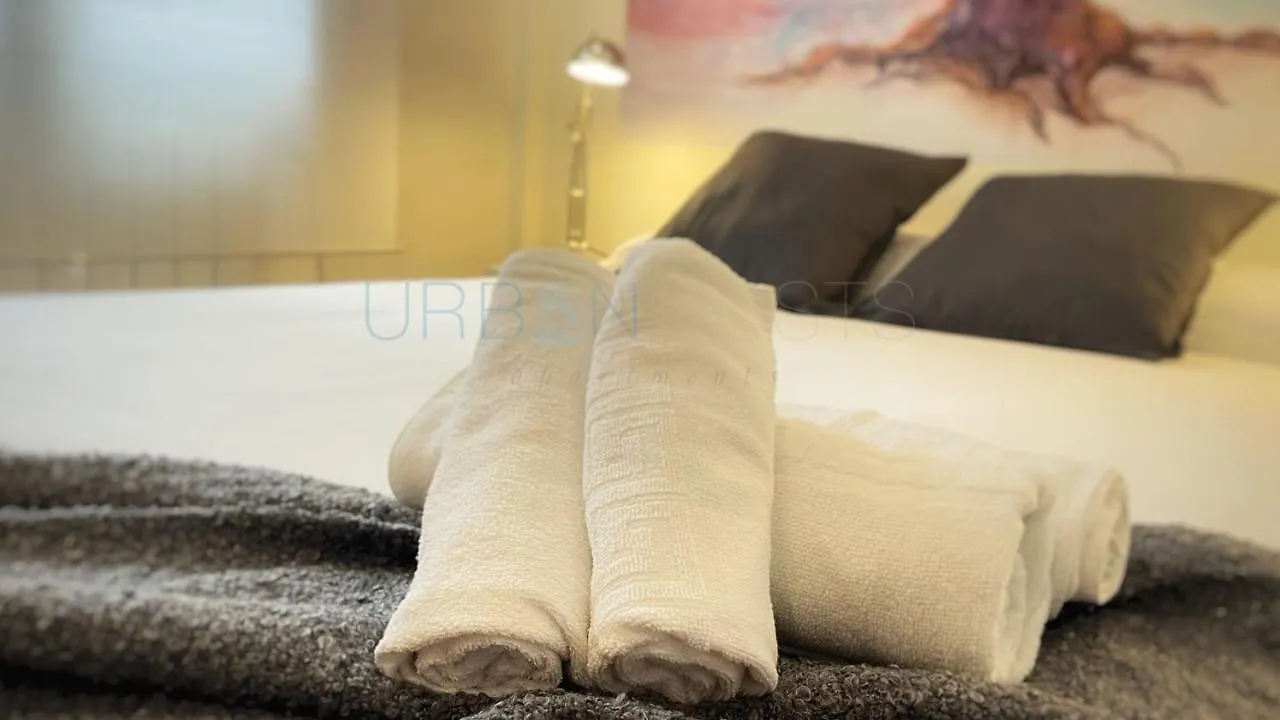 Santuchu apartamento urbano comodo y funcional Bilbao